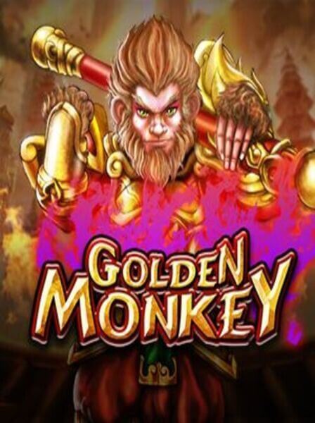 Discover the Best Games at TapBet Casino for Endless Fun