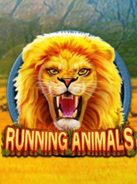 Join the Fun and Win at RealDeal Casino Today!